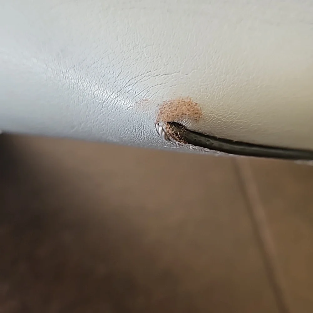 Handbag - Picture 4 of 9